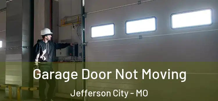  Garage Door Not Moving Jefferson City - MO