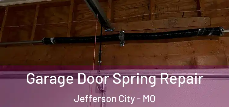  Garage Door Spring Repair Jefferson City - MO